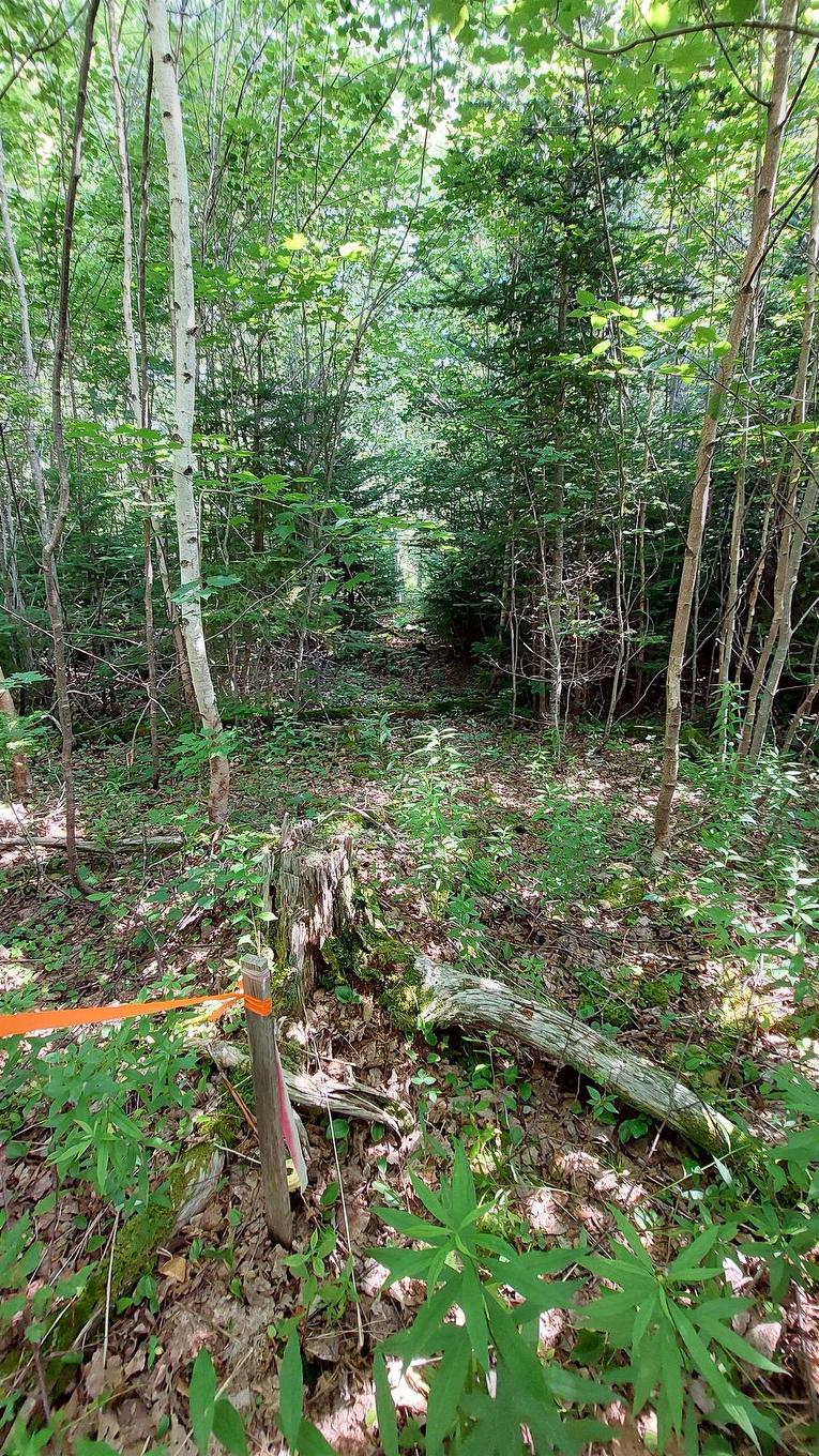 Lot 5 Tranquil Shore Rd, Marshes (West Bay), NS