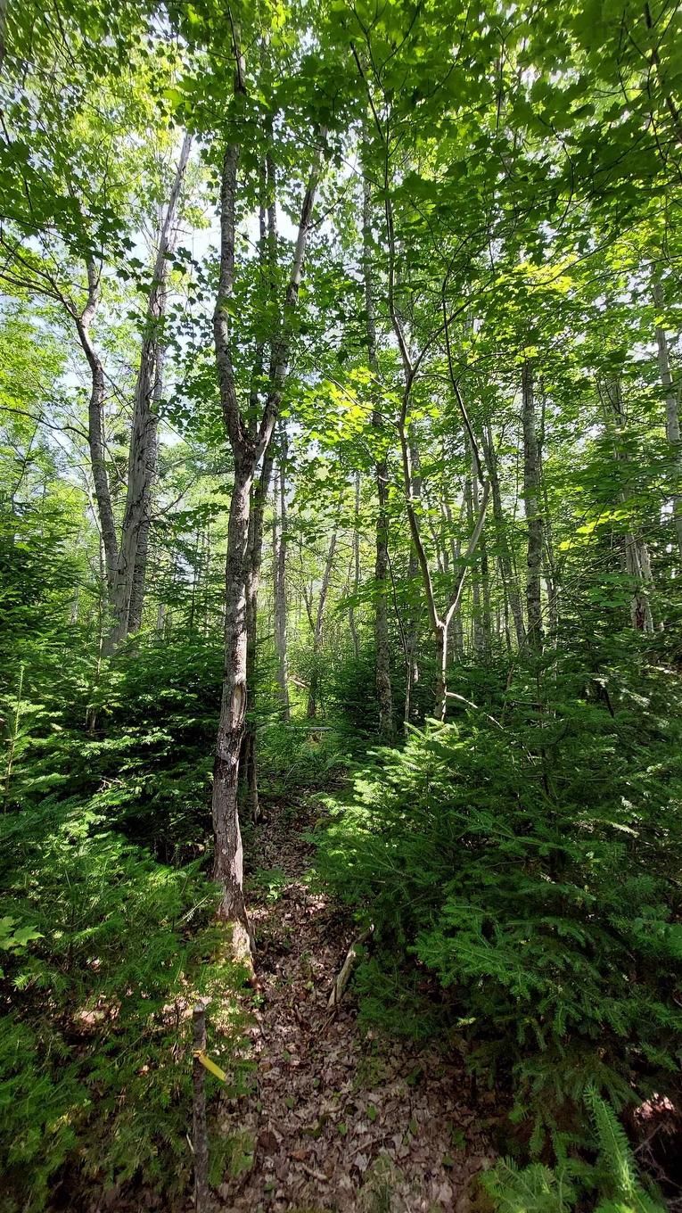 Lot 5 Tranquil Shore Rd, Marshes (West Bay), NS