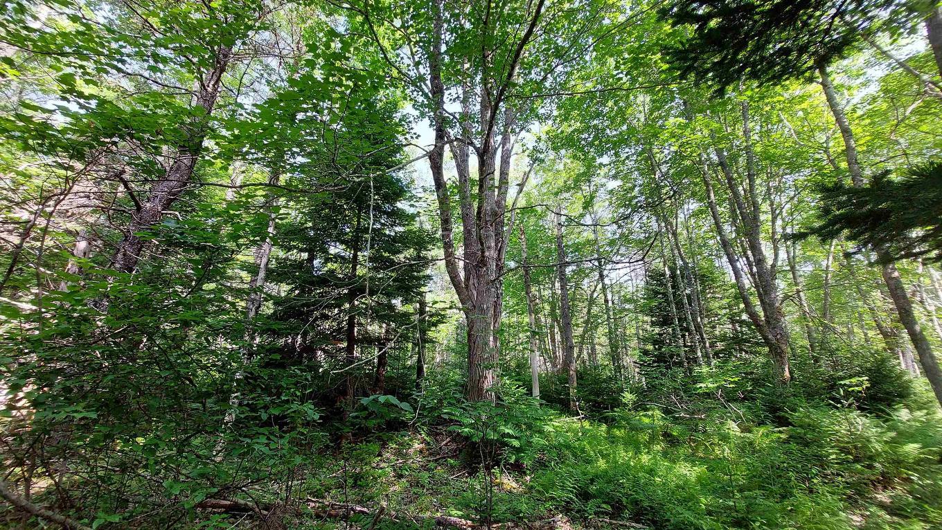 Lot 5 Tranquil Shore Rd, Marshes (West Bay), NS