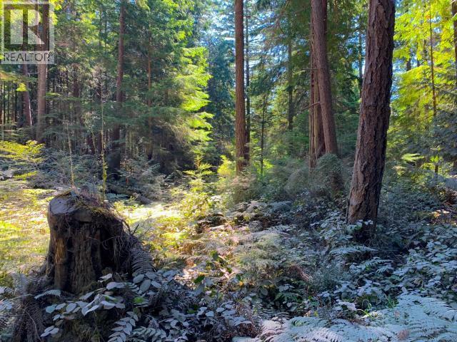 1824 Vancouver Blvd, Savary Island, BC