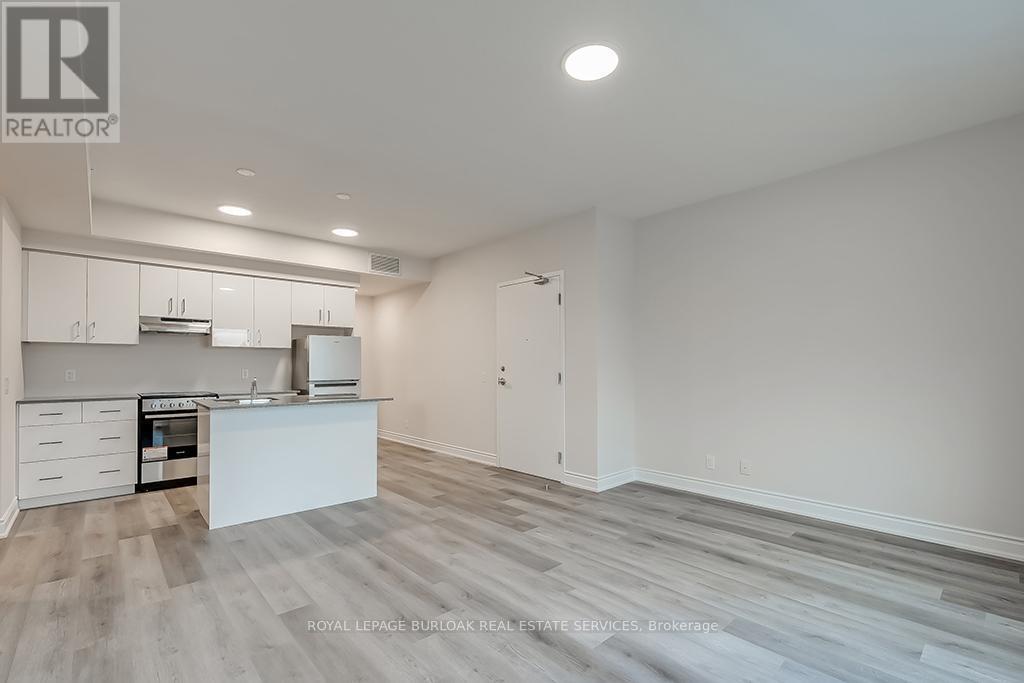 3A - 259 King Street E, Hamilton, ON - Indoor Photo Showing Kitchen