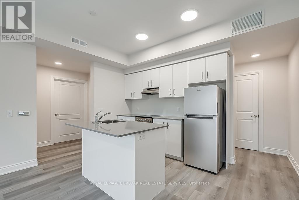 3A - 259 King Street E, Hamilton, ON - Indoor Photo Showing Kitchen