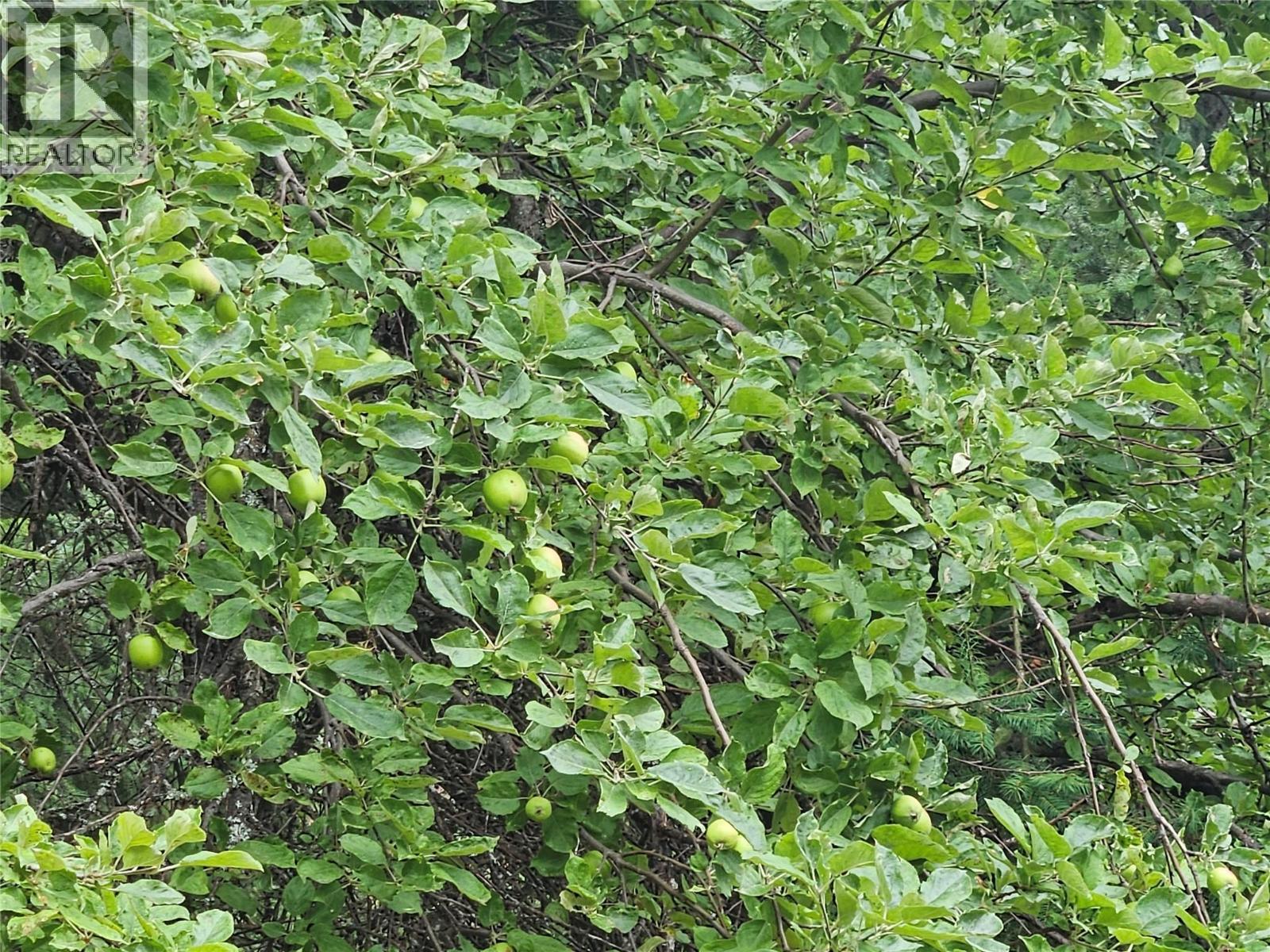 130 Lower Fauquier Road, Fauquier, BC