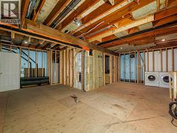 Basement - Future Suite -