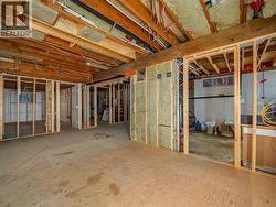 Basement - Future Suite -