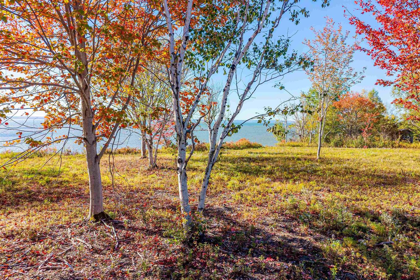 Lot 4 Highway 2, Upper Economy, NS