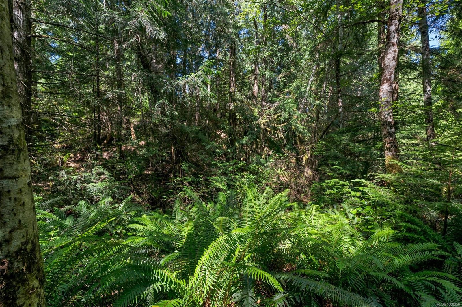 5885 Jupiter Pl, Sooke, BC