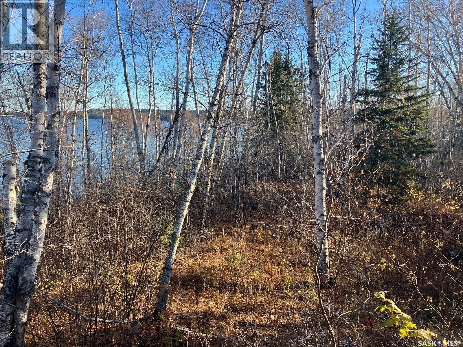 1 Birch Place, Tobin Lake, SK