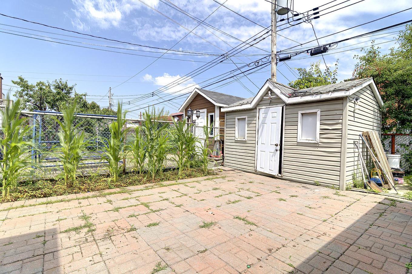 Cour - 11479 Av. Olier, Montréal (Montréal-Nord), QC - Outdoor