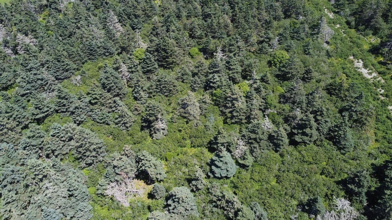 Lot 4 Main Shore Road, Port Maitland, NS