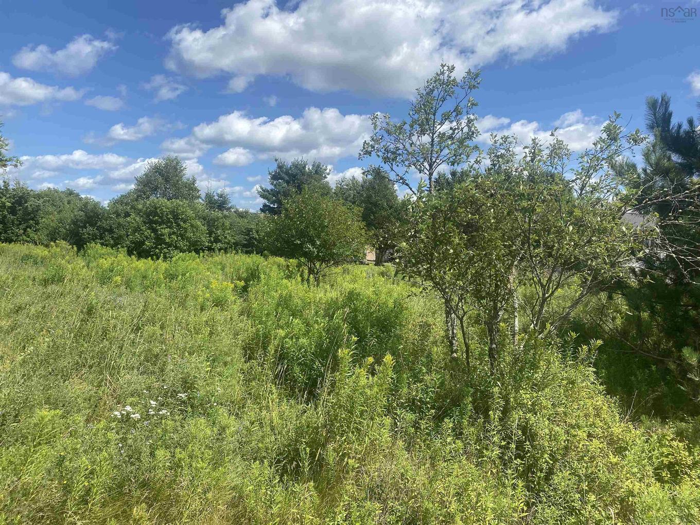 Lot 24 Old Court House Branch Road, Murray Siding, NS