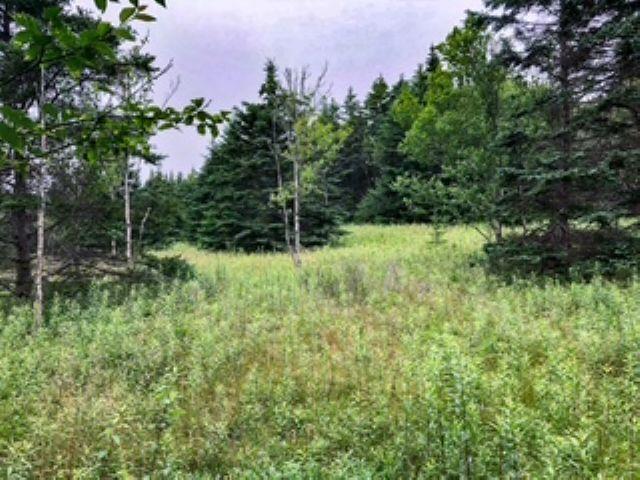 Lot 290 East Side Grand River Road, Grand River, NS
