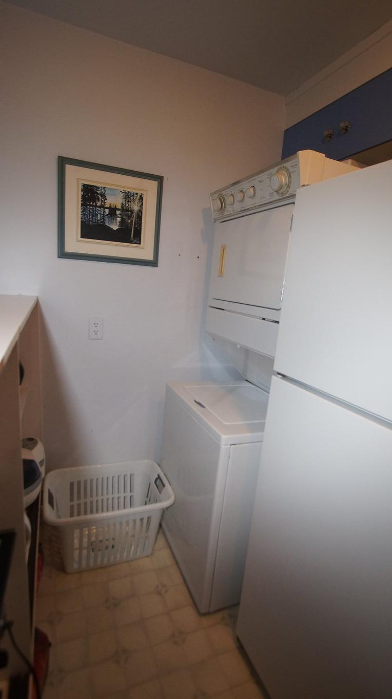 Kitchenette - 121 - 125 4E Rang, Saint-Alphonse-Rodriguez, QC - Indoor Photo Showing Laundry Room