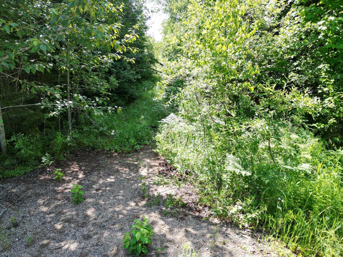 Wooded area - 121 - 125 4E Rang, Saint-Alphonse-Rodriguez, QC - Outdoor