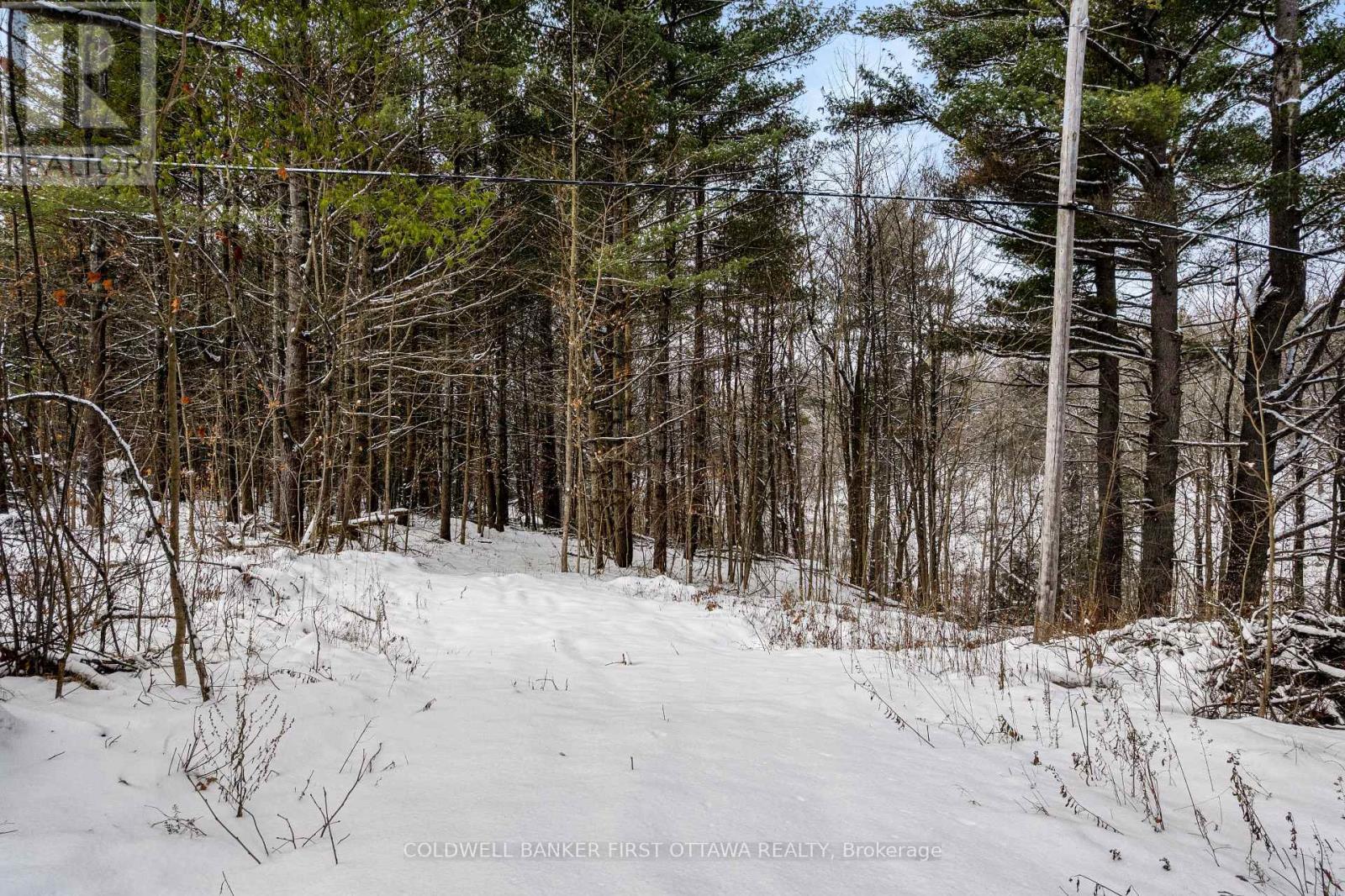 Winter wonderland - 115 Doran Road, Tay Valley, ON