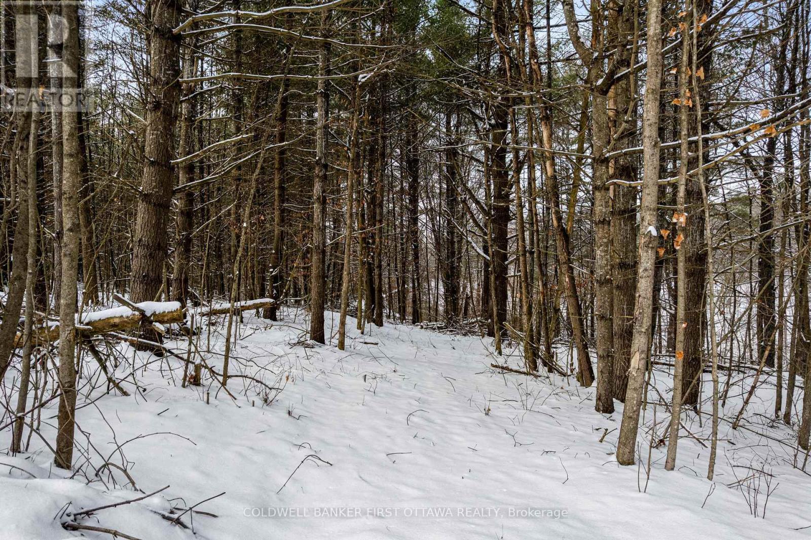 Enjoy nature walks - 115 Doran Road, Tay Valley, ON