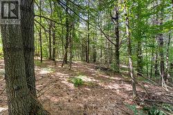 Surrounded by nature -