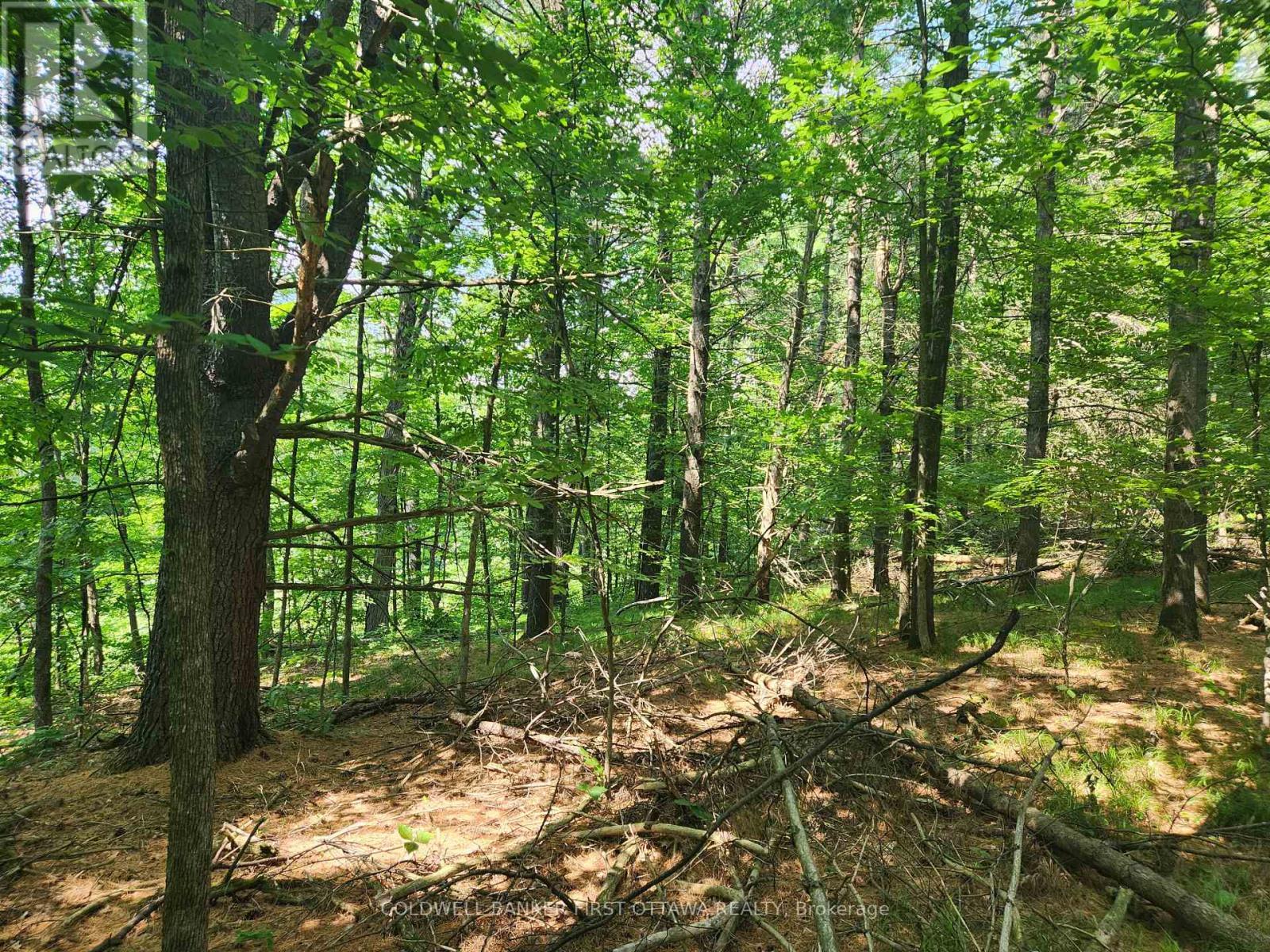 Wooded retreat with mix of hardwood & softwood - 115 Doran Road, Tay Valley, ON