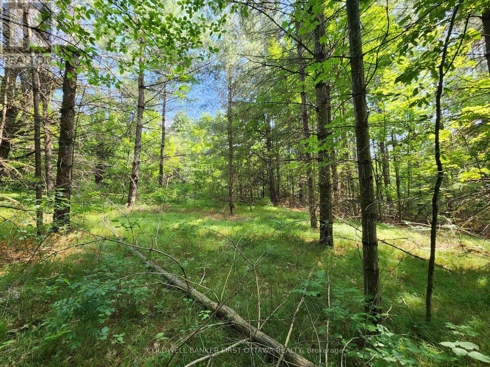 Potential building site - 115 Doran Road, Tay Valley, ON