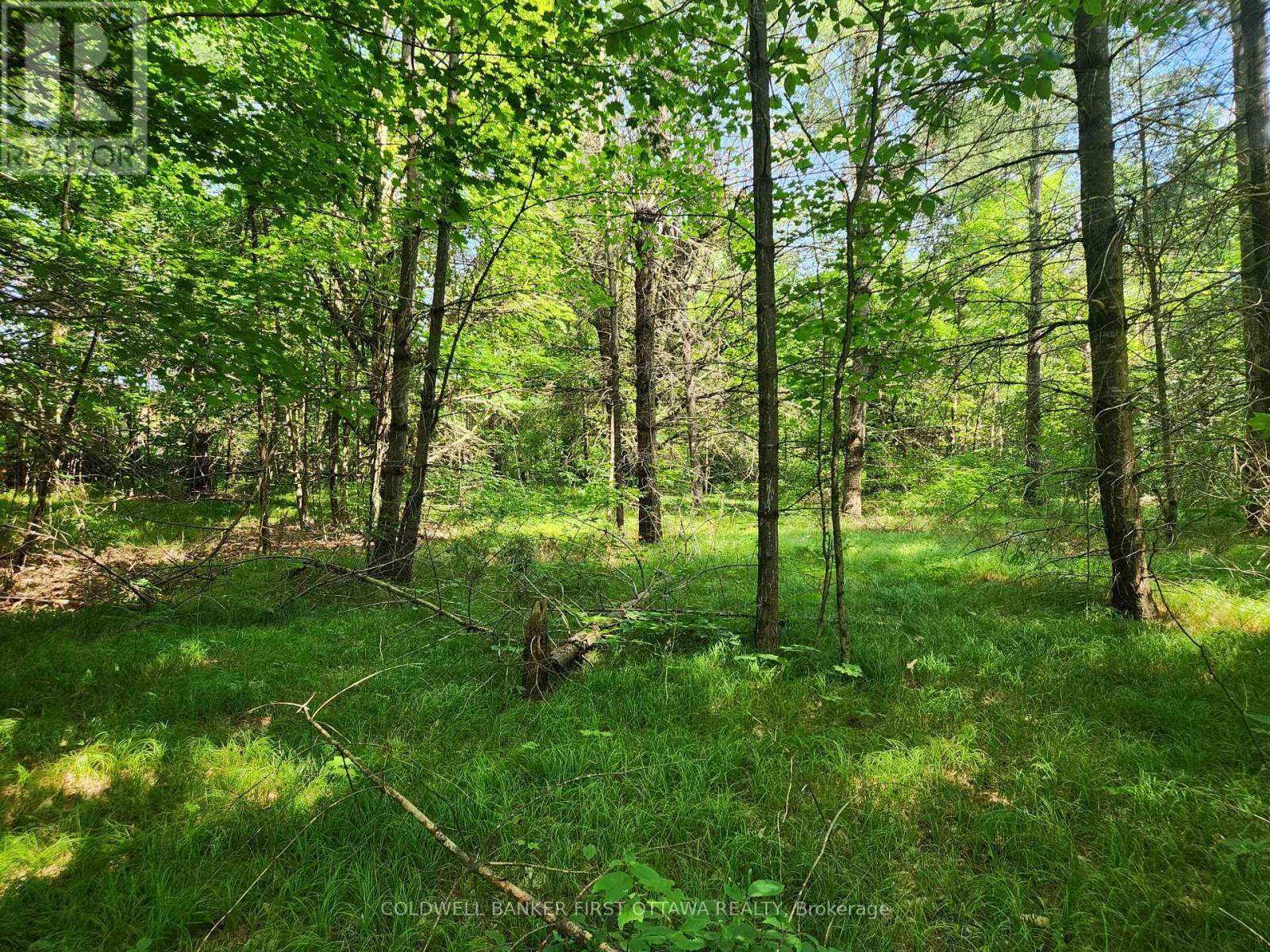 Elevated building area - 115 Doran Road, Tay Valley, ON