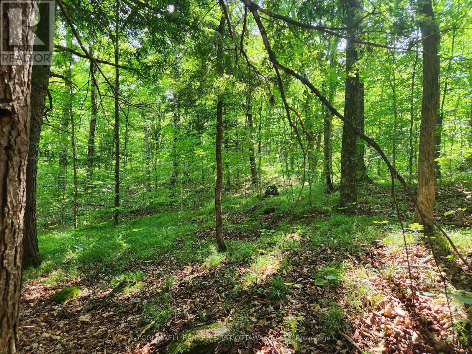 Bring your creative home design - 115 Doran Road, Tay Valley, ON