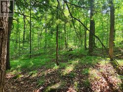 Bring your creative home design -