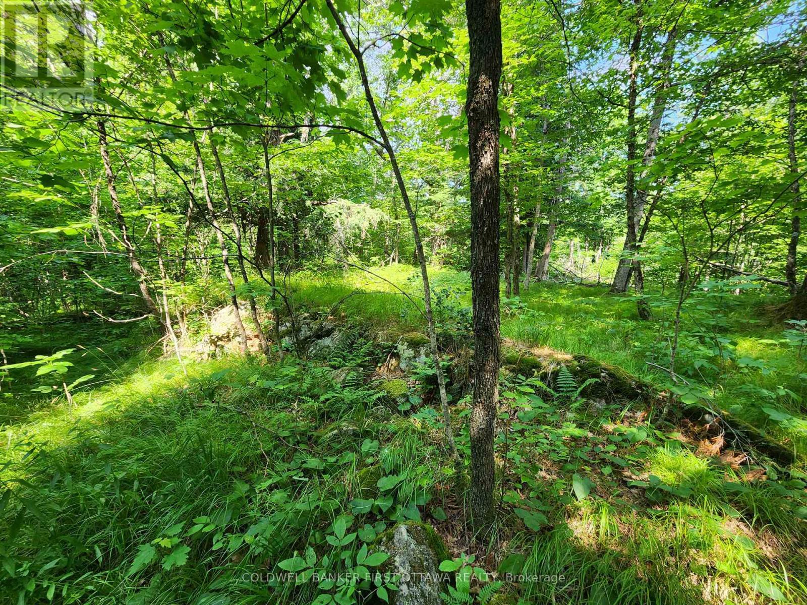 Hilly topography - northwest side of creek - 115 Doran Road, Tay Valley, ON