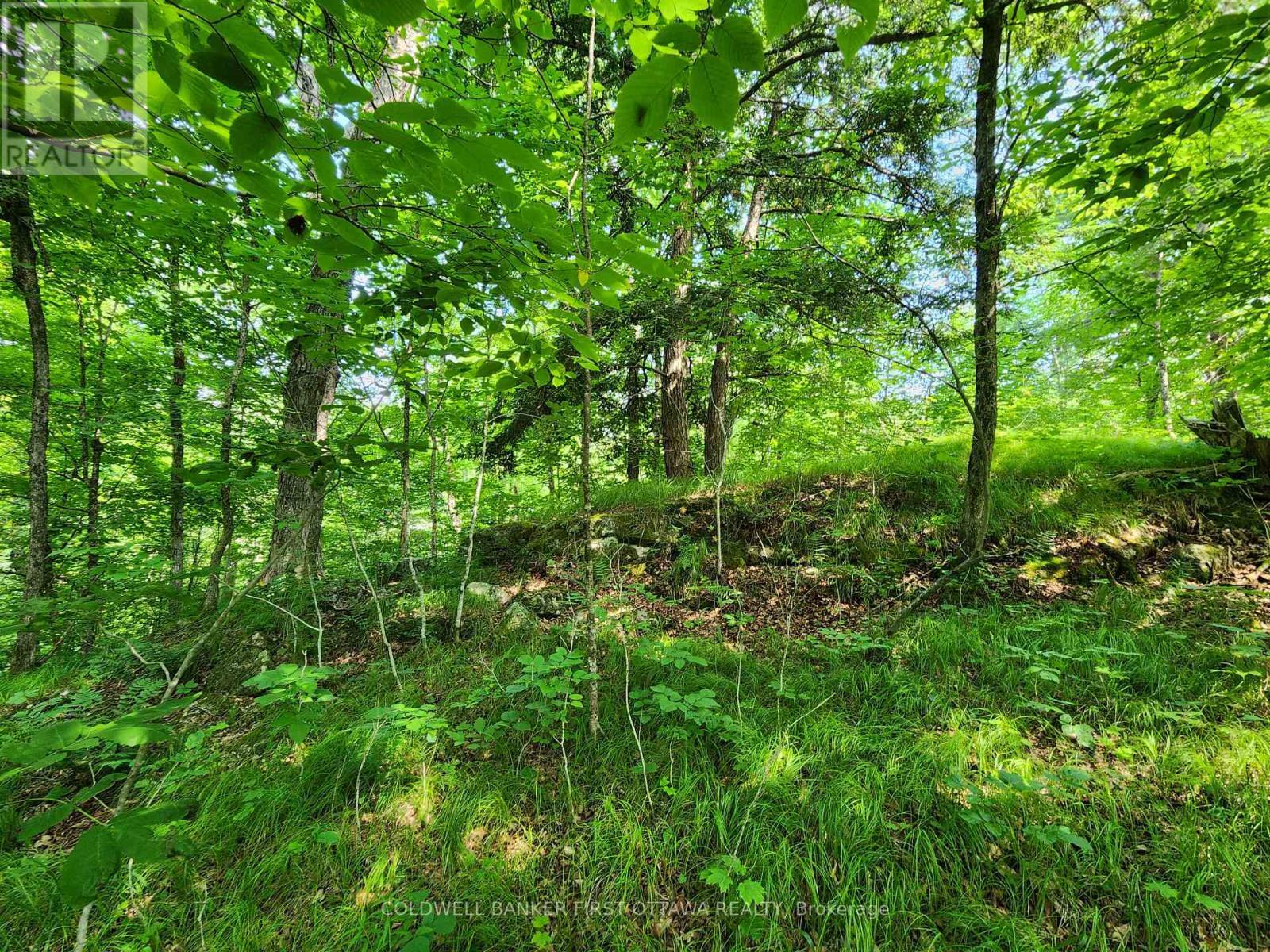 Ridge on northwest side of property and creek - 115 Doran Road, Tay Valley, ON