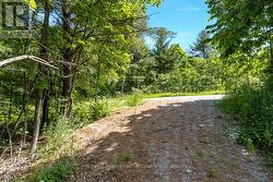 View of driveway from lot -