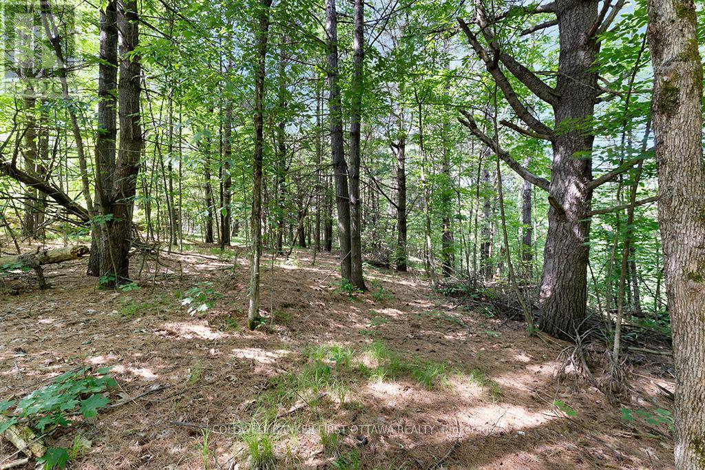 Land at end of the driveway - 115 Doran Road, Tay Valley, ON