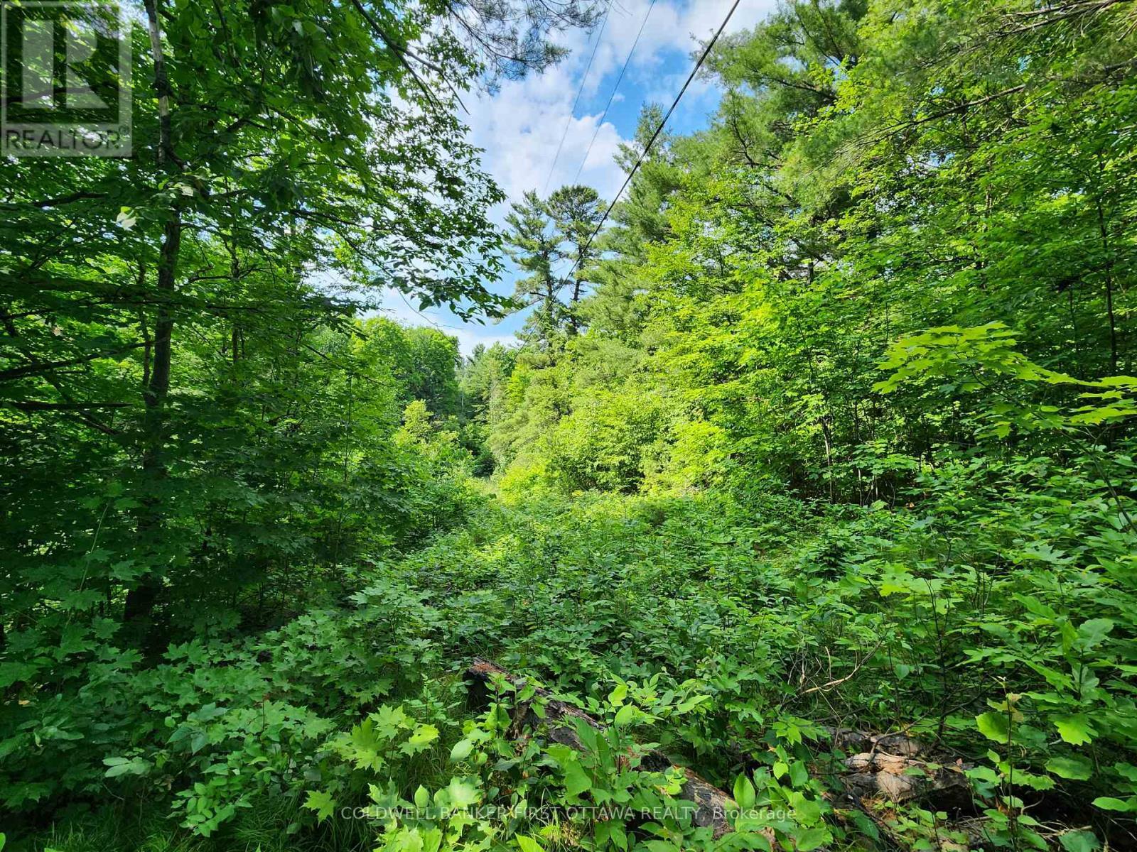 Right side of the driveway - 115 Doran Road, Tay Valley, ON