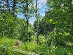 Topography view from sideroad, Doran Rd -