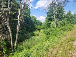 View from further down Hwy 7 to show topography -