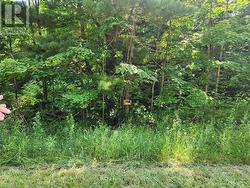 End property marker on sideroad, Doran Rd -