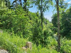 Cell and Internet service available in the area -