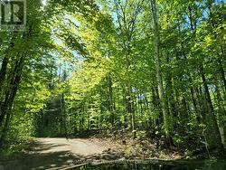 28578 HWY 7 HIGHWAY Frontenac (Frontenac Centre), ON K0H 2B0