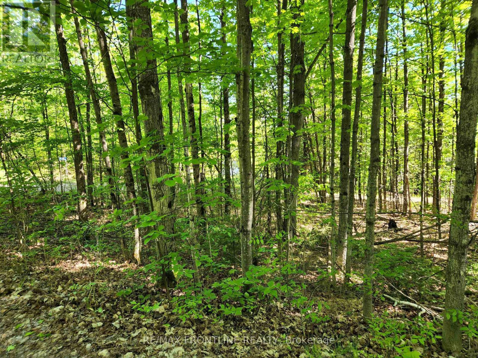 28578 Hwy 7 Highway, Frontenac (Frontenac Centre), ON