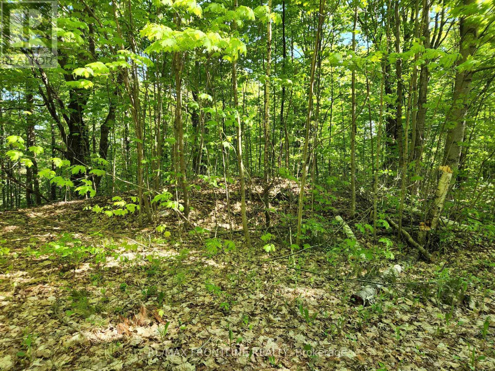 28578 Hwy 7 Highway, Frontenac (Frontenac Centre), ON