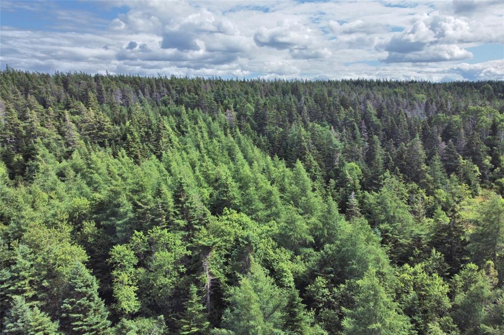 347-355 Conception Bay Highway, Brigus, NL