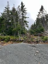 0 Hunts Lane, Dunville, NL