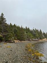 0 Hunts Lane, Dunville, NL