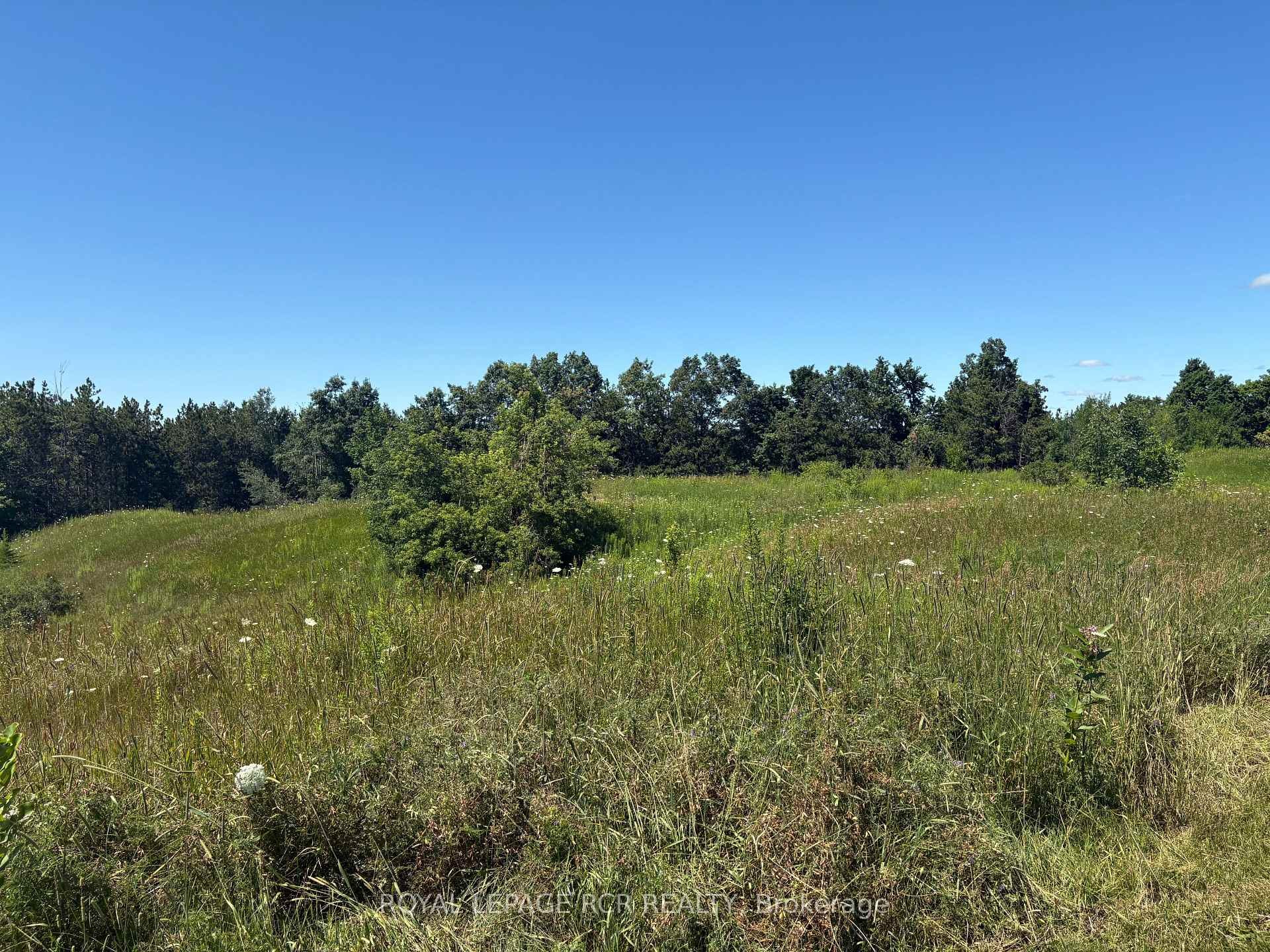 Pt2 Lt29 2Nd Line N/A, Amaranth, ON