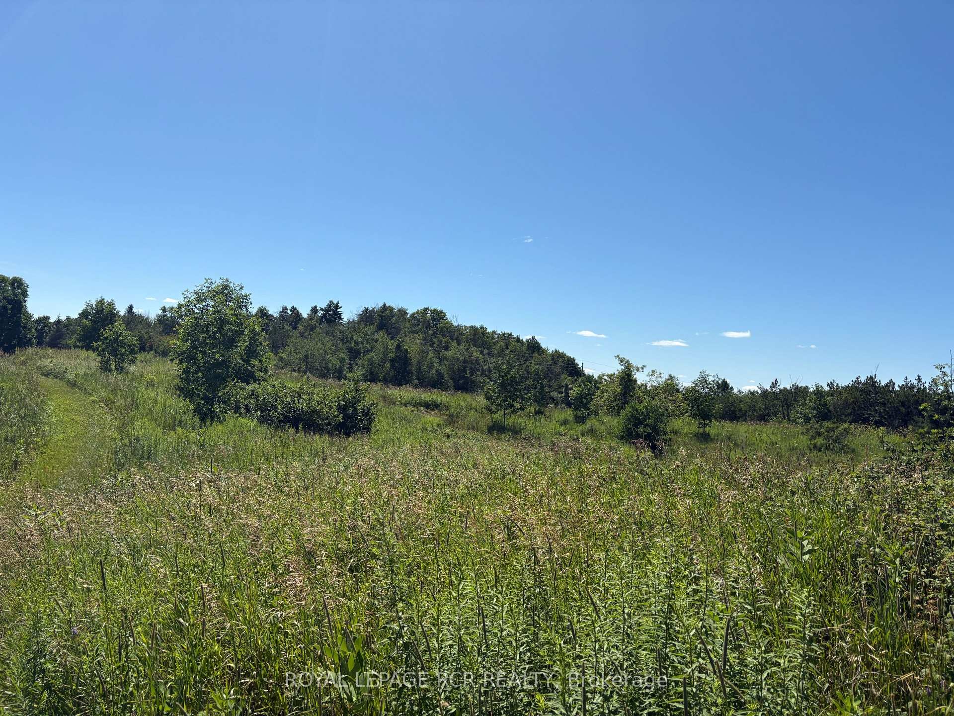 Pt2 Lt29 2Nd Line N/A, Amaranth, ON