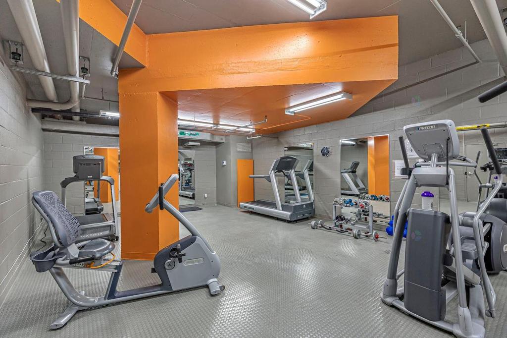 Exercise room - 703-8245 Boul. St-Laurent, Brossard, QC - Indoor Photo Showing Gym Room