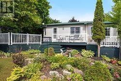 Array of colourful perennials garden -