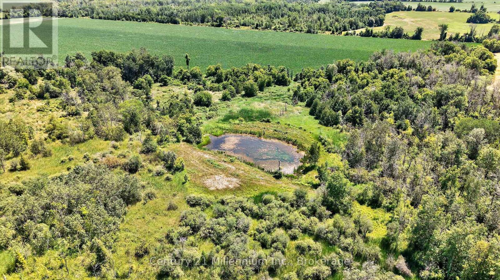 1617 42 County Road, Clearview, ON