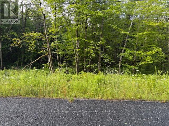 60 Summer Leigh Trail, Huntsville (Stephenson), ON