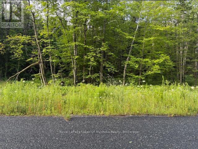 60 Summer Leigh Trail, Huntsville (Stephenson), ON