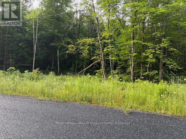 60 Summer Leigh Trail, Huntsville (Stephenson), ON