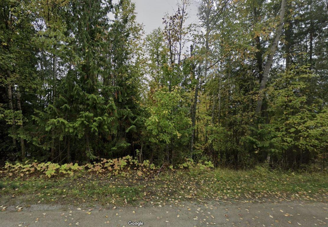 Stampede Trail, Anglemont, BC - Outdoor